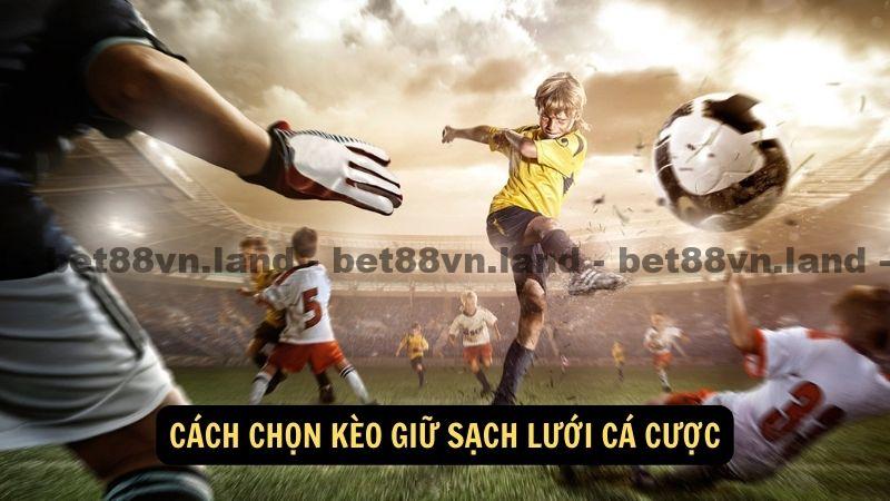 Cách chọn kèo giữ sạch lưới cá cược