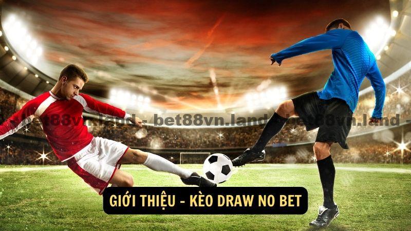 Giới thiệu - kèo Draw No Bet