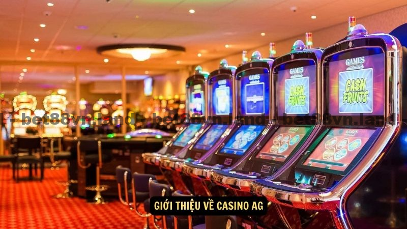 Giới thiệu về Casino AG