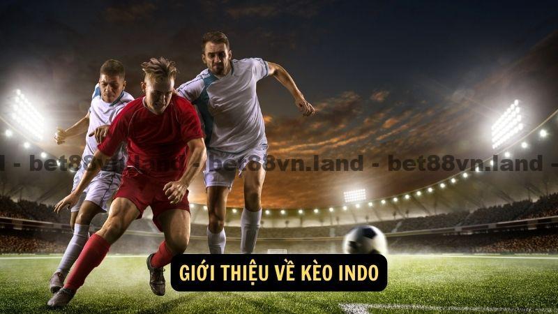 Giới thiệu về kèo indo